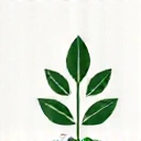 Vitamins and Minerals icon